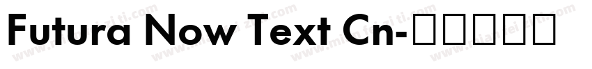 Futura Now Text Cn字体转换
